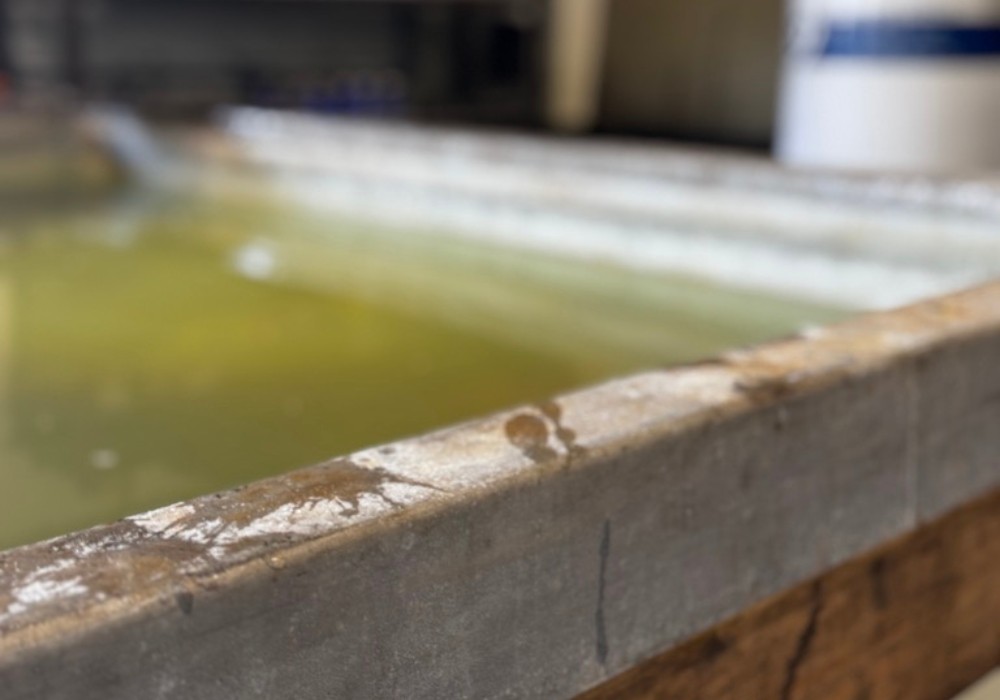 xr:d:DAGAubjb2ik:9,j:5159296392539830794,t:24032719